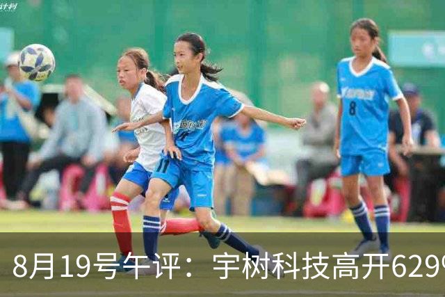 8月19号午评：宇树科技高开629%，总市值达4449亿！大盘后市将何去何从？